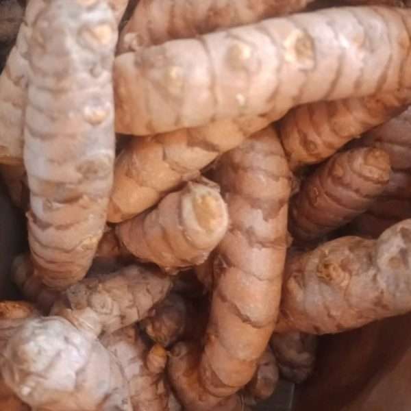 Cúrcuma entera a granel 100gr