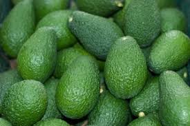 Paltas Californiana Agroecológicas kilo