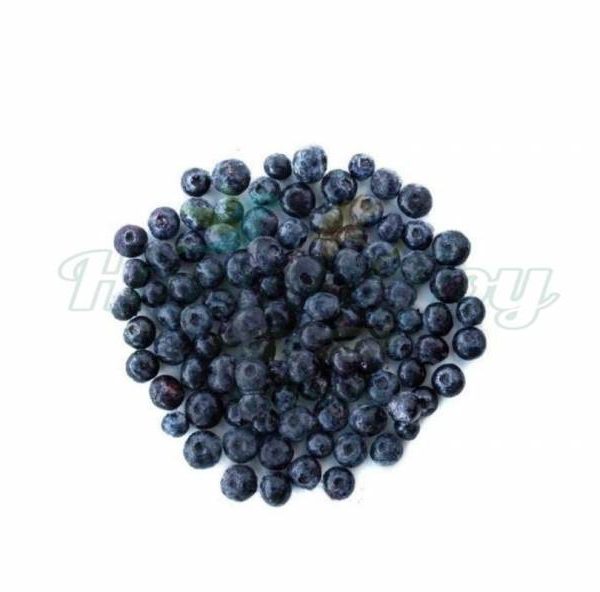 Arándanos Congelados Agroecológico 500g