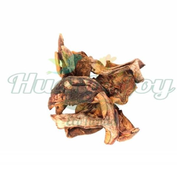 Callampas Deshidratada Agroecológica 100g