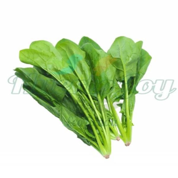Espinacas