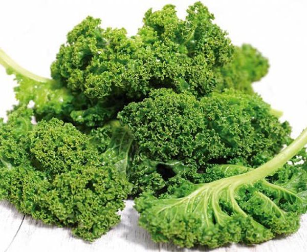 Kale Agroecológico