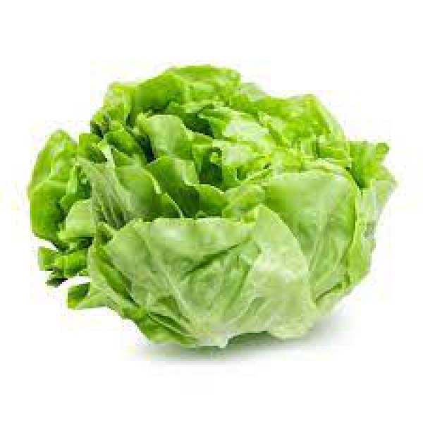 Lechuga Agroecológica