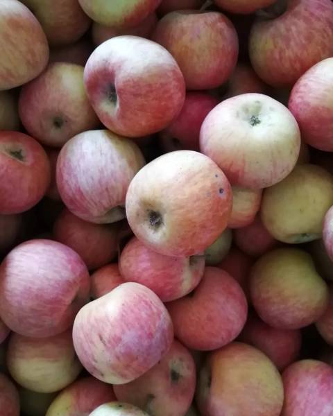 Manzana Roja Convencional Kilo