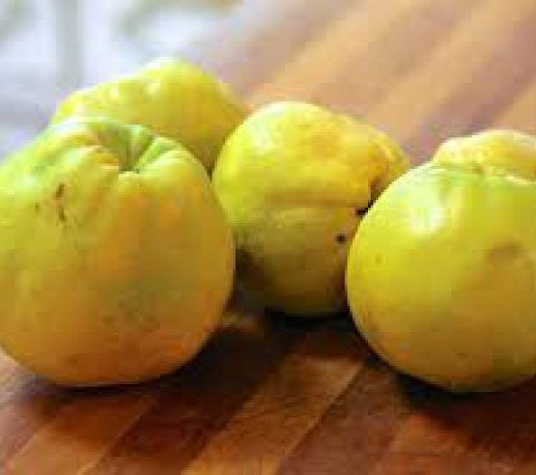 Membrillo Agroecológico