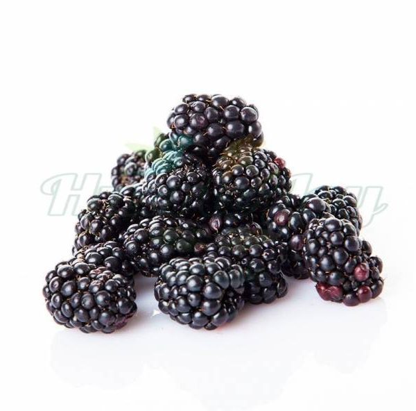 Morones Agroecológicos caja 500grs (Frutos Rojos)