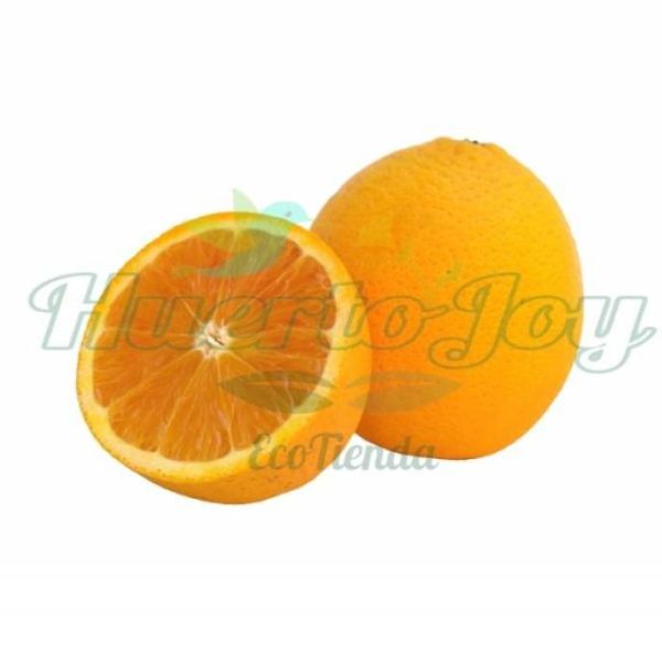 Naranjas Convencionales Kilo