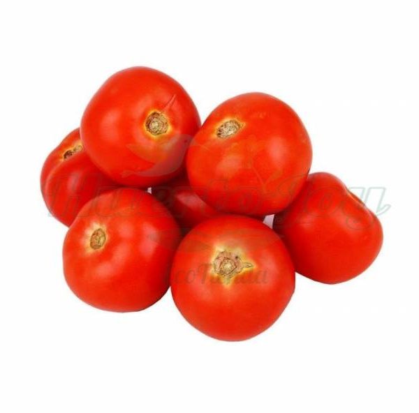 Tomates Rojos Convencionales Kilo