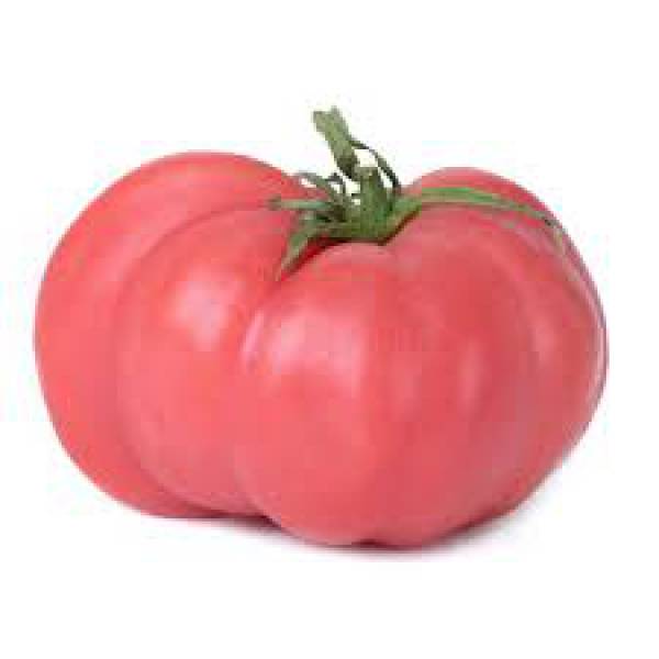 Tomates Rosados Agroecológicos kilo
