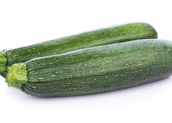 Zapallos Italianos Agroecológicos