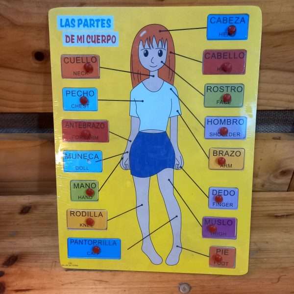 Tabla Partes Cuerpo Juguete Madera