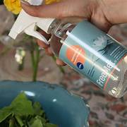 Higienizante Fruta y Verduras Freemet Litro