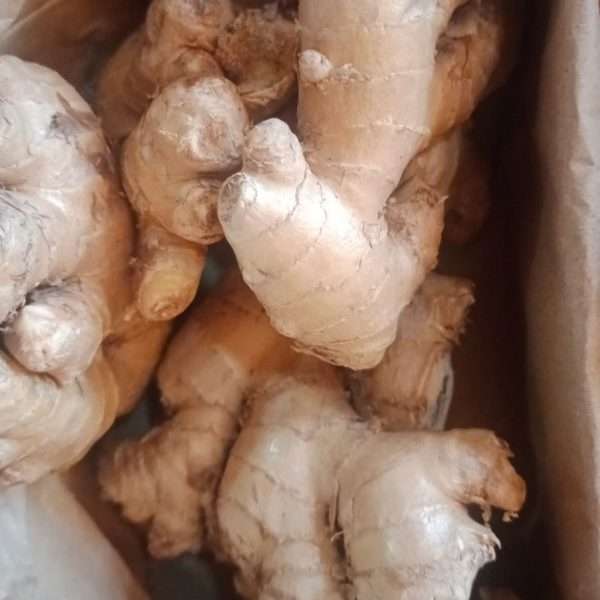 Jengibre entero a granel 100gr