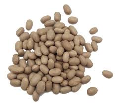 Porotos Tórtola Agroecológico Kilo